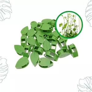 فروش عمده گیره نگهدارنده گیاه ونوس کارتن 100 عددی