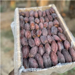 خرما مجول مراکشی حاجی آباد(سایز درشت)