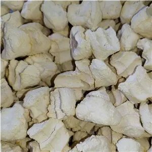 کشک خالص گوسفندی ، از کاشمر