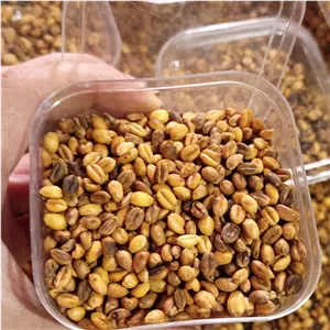 گندمک خوش نمک سنتی 