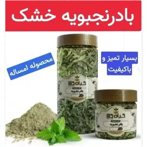بادرنجبویه خشک امساله فوق ممتاز (بسته یک کیلویی)