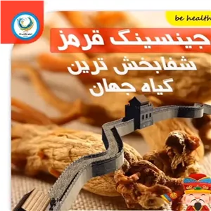 جینسینگ سفید کره ای تازه و مرغوب جینسینگ ممتاز پک نیم کیلویی