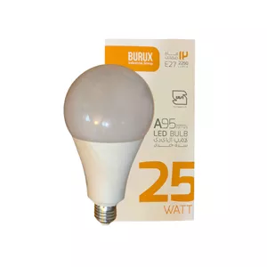 لامپ LED حبابی 25 وات E27 مهتابی بروکس