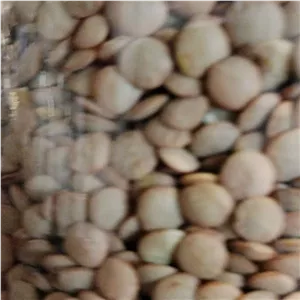 عدس محلی