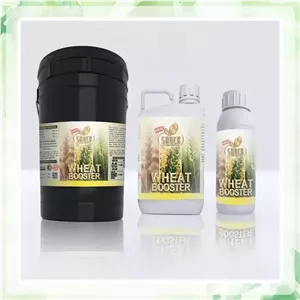 کود مخصوص گندم و جو برند شوک (Wheat Booster)