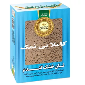 نان بی نمک طلایه داران بسته 10 عددی