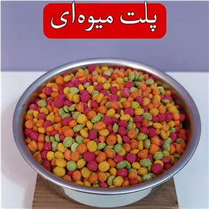 پلت میوهای طوطیسانان