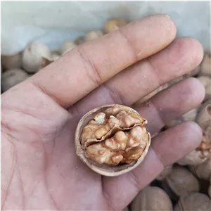 گردو خشک 