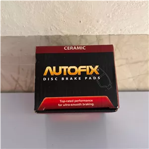 لنت عقب اتوفیکس ( رانا207تارا)