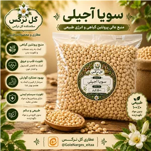 سویا آجیلی اعلا