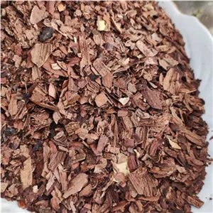 جفت بلوط تازه و درجه یک 