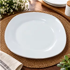 پیش دستی یا زیر دستی چهارگوش لب طلا چینی پردیس اصفهان