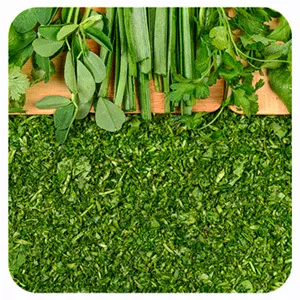 سبزی خورشتی 1000 گرم کوثر