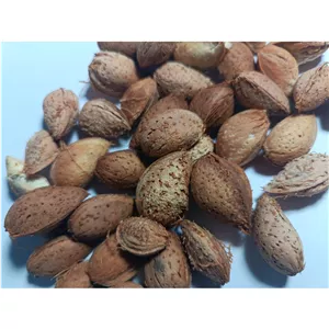بادام پوست کاغذی تازه امسال (بسته 300 گرمی) + درجه یک پر مغز