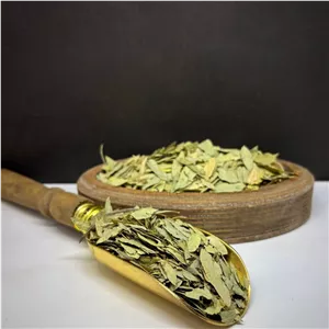 برگ سنا