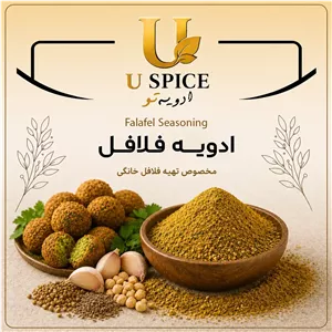 ادویه فلافل250گرمی ترکیبی خوشعطر با طعمی دلچسب و متعادل 