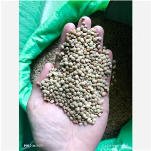  عدس ریز آشی لیز شده فی160