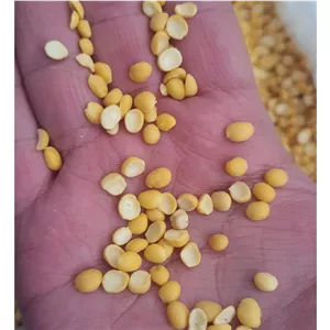لپه ریز و پاک شده آذرشهر 500گرم