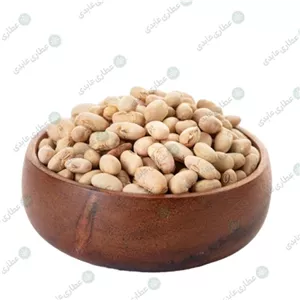 سویا آجیلی بوداده فله ای