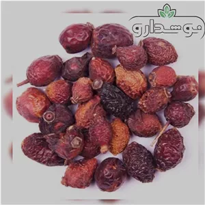 میوه نسترن 1 کیلویی (پسکرایه)