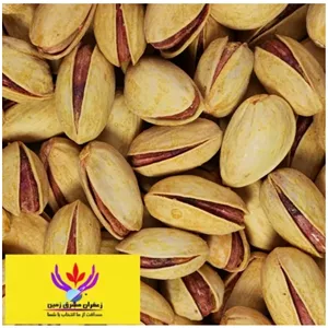 پسته اکبری شور یک کیلو مشرق زمین