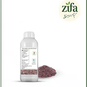 عصاره عدس الملک مایع