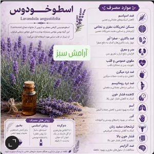 گیاه اندام اسطخودوس اصل با کیفیت عالی Lavandula angustifolia موارد مصرف ضداسپاسم مسکن تحریکات مغزی و نخاعی، ضد باکتری 