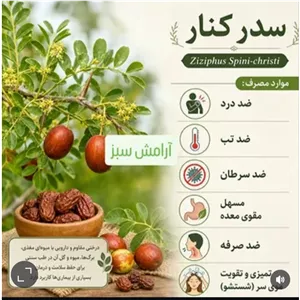 پودر سدر کنار Ziziphus Spini-christi موارد مصرف ضد درد- ضد تب- ضد سرطان- مسهل مقوی معده- ضد صرفه- تمیزی و تقویت موی سر
