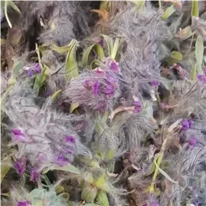 چای کوهی مراغه توهلوجه(100گرم)