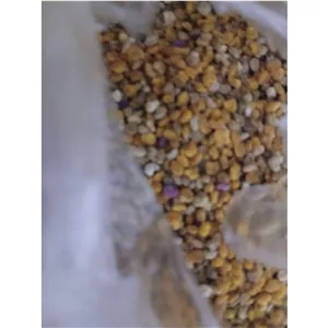 گرده گل 5رنگ کوهستان 1 کیلویی