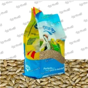 Q تخم کتان پرندگان دیسفا اسپانیا A