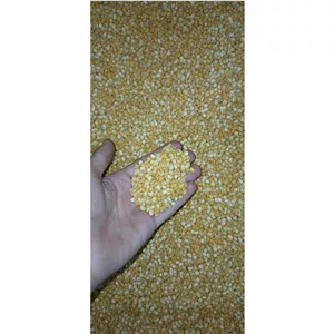 لپه درجه 1 آذرشهر