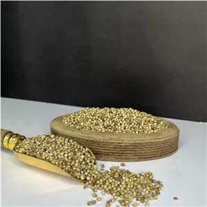 تخم گشنیز