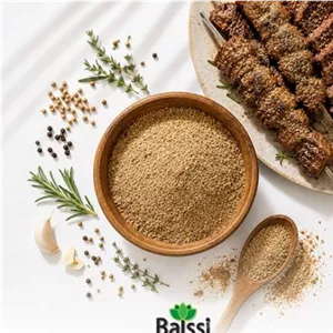 ادویه کباب و استیک بالسی 1 کیلویی 