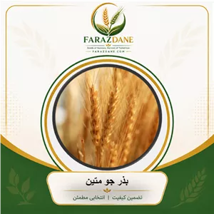 بذر جو متین