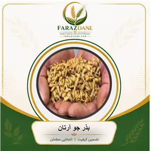 بذر جو آرتان