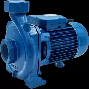 پمپ آب یک و نیم اسب دو اینچ استخری مدل CS150 نیوژن