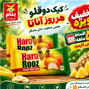 کیک دوقلو هرروز آناتا(60 گرم )