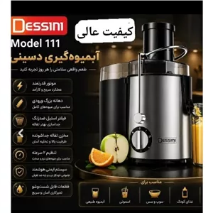آب میوه گیری تک کاره استیل دسینی