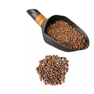 قهوه چری AA (روبوستا)