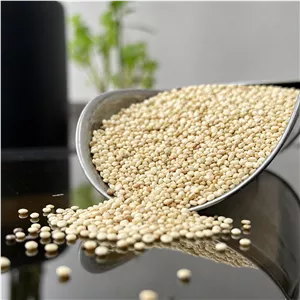 دانه کینوا سفید یا خاویار گیاهی وارداتی 10 کیلویی عمده