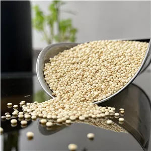 دانه کینوا سفید یا خاویار گیاهی وارداتی 100 گرمی