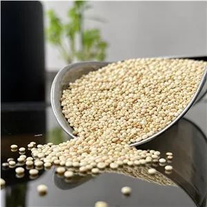 دانه کینوا سفید یا خاویار گیاهی وارداتی 500 گرمی