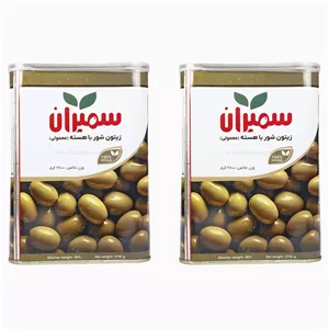 زیتون شور با هسته معمولی سمیران حلب 2700 گرمی بسته 2 عددی
