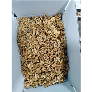 معز گردو (فروش عمده)