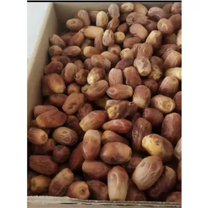 خرما زاهدی درجه یک 