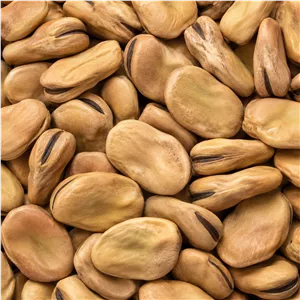 باقالی ممتاز (به شرط پخت)