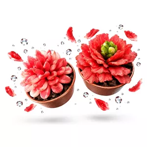 گلدون تزئینی قرمز جفتی