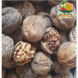 گردوی ده بالایزد