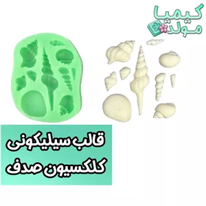 قالب سیلیکونی کلکسیون صدف